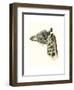 Downton Animals II-Grace Popp-Framed Art Print