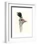 Downton Animals III-Grace Popp-Framed Art Print