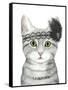 Downton Cat III-Grace Popp-Framed Stretched Canvas