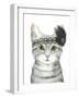 Downton Cat III-Grace Popp-Framed Art Print