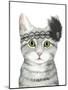 Downton Cat III-Grace Popp-Mounted Art Print