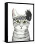 Downton Cat III-Grace Popp-Framed Stretched Canvas