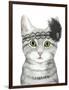 Downton Cat III-Grace Popp-Framed Art Print