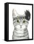 Downton Cat III-Grace Popp-Framed Stretched Canvas