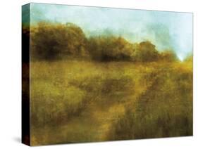 Downton Walk 1-Ken Roko-Stretched Canvas