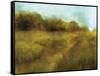 Downton Walk 1-Ken Roko-Framed Stretched Canvas