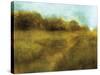 Downton Walk 1-Ken Roko-Stretched Canvas