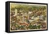 Downtown Akron, Ohio-null-Framed Stretched Canvas