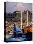Downtown and Mt. Rainier, Tacoma, Washington-Charles Crust-Stretched Canvas