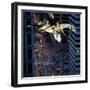 Downtown Angel, 2007-Trygve Skogrand-Framed Giclee Print