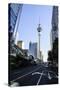 Downtown Auckland with its High Rise Buildings, Auckland, North Island, New Zealand, Pacific-Michael-Stretched Canvas