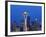 Downtown Buildings and the Space Needle, Seattle, Washington State-Christian Kober-Framed Photographic Print