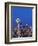 Downtown Buildings and the Space Needle, Seattle, Washington State-Christian Kober-Framed Photographic Print