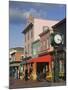 Downtown Cape May, Cape May County, New Jersey, United States of America, North America-Richard Cummins-Mounted Photographic Print