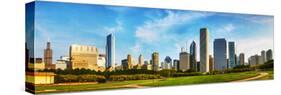 Downtown Chicago as Seen from Grant Park-photo.ua-Stretched Canvas