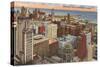 Downtown Chicago, Illinois-null-Stretched Canvas