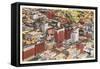 Downtown Des Moines, Iowa-null-Framed Stretched Canvas