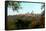 Downtown Kigali, Rwanda-null-Framed Stretched Canvas