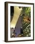 Downtown Los Angeles, Civic Center Area, California, USA-Stuart Westmoreland-Framed Photographic Print