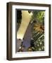 Downtown Los Angeles, Civic Center Area, California, USA-Stuart Westmoreland-Framed Photographic Print