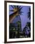 Downtown Los Angeles, Civic Center Area-Stuart Westmorland-Framed Photographic Print