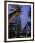 Downtown Los Angeles, Civic Center Area-Stuart Westmorland-Framed Photographic Print