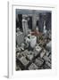 Downtown Los Angeles, Including Us Bank Tower 73 Floors, Aerial-David Wall-Framed Photographic Print