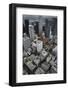 Downtown Los Angeles, Including Us Bank Tower 73 Floors, Aerial-David Wall-Framed Photographic Print