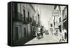 Downtown Merida, Yucatan, Mexico-null-Framed Stretched Canvas