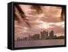 Downtown Miami Skyline at Dusk Miami, Florida, United States of America, North America-Angelo Cavalli-Framed Stretched Canvas