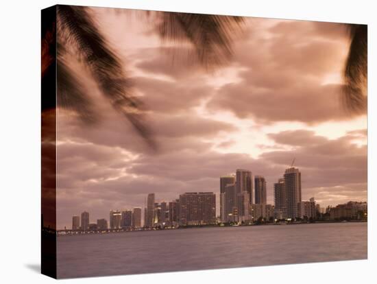 Downtown Miami Skyline at Dusk Miami, Florida, United States of America, North America-Angelo Cavalli-Stretched Canvas