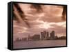 Downtown Miami Skyline at Dusk Miami, Florida, United States of America, North America-Angelo Cavalli-Framed Stretched Canvas