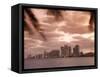 Downtown Miami Skyline at Dusk Miami, Florida, United States of America, North America-Angelo Cavalli-Framed Stretched Canvas