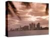 Downtown Miami Skyline at Dusk Miami, Florida, United States of America, North America-Angelo Cavalli-Stretched Canvas