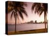 Downtown Miami Skyline at Dusk Miami, Florida, United States of America, North America-Angelo Cavalli-Stretched Canvas