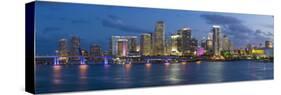 Downtown Miami Skyline, Miami, Florida, USA, North America-Gavin Hellier-Stretched Canvas