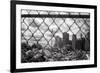 Downtown on the Rocks-Evan Morris Cohen-Framed Photographic Print