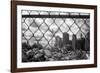 Downtown on the Rocks-Evan Morris Cohen-Framed Photographic Print