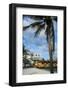 Downtown Oranjestad, Capital of Aruba, ABC Islands, Netherlands Antilles, Caribbean-Michael Runkel-Framed Photographic Print