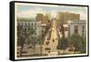 Downtown Raleigh, North Carolina-null-Framed Stretched Canvas