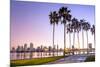 Downtown San Diego at Dawn Usa-null-Mounted Premium Giclee Print