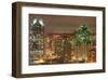 Downtown San Diego at Night-null-Framed Art Print