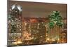 Downtown San Diego at Night-null-Mounted Art Print