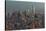 Downtown Skyline 12-Richard Silver-Stretched Canvas