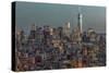 Downtown Skyline 12-Richard Silver-Stretched Canvas