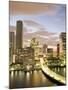 Downtown Skyline at Dusk, Miami, Florida, United States of America, North America-Angelo Cavalli-Mounted Photographic Print