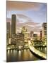 Downtown Skyline at Dusk, Miami, Florida, United States of America, North America-Angelo Cavalli-Mounted Premium Photographic Print