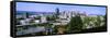 Downtown Skyline, Cincinnati, Hamilton County, Ohio, USA-null-Framed Stretched Canvas