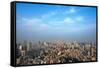 Downtown skyline dominated by Tokyo Tower, Tokyo, Japan-Keren Su-Framed Stretched Canvas