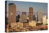 Downtown Skyline from Cheesman Park, Denver, Colorado, USA-Walter Bibikow-Stretched Canvas